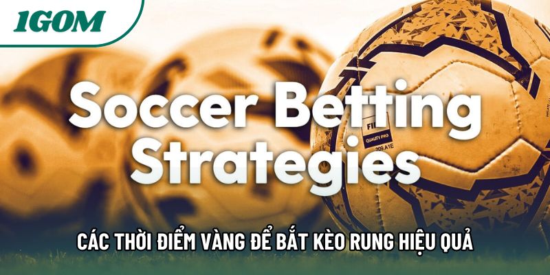 Các thời điểm vàng để bắt kèo rung hiệu quả