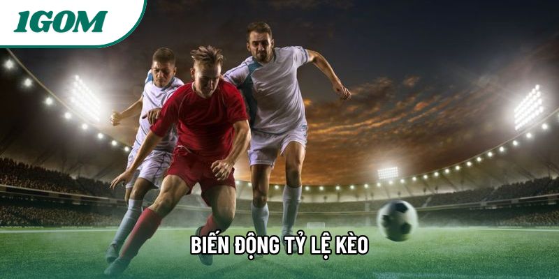 Cách đọc biến động tỷ lệ kèo chuẩn xác cho người chơi