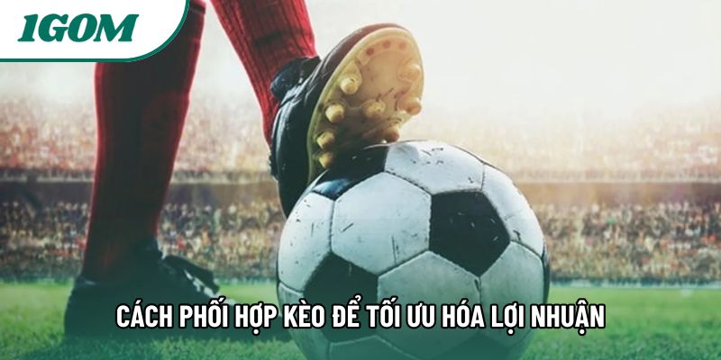 Cách phối hợp kèo để tối ưu hóa lợi nhuận Cách phối hợp kèo để tối ưu hóa lợi nhuận