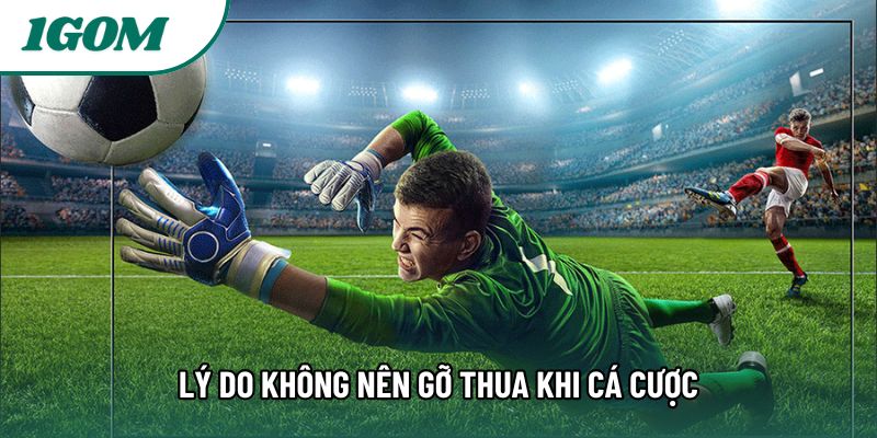 Lý do không nên gỡ thua khi cá cược