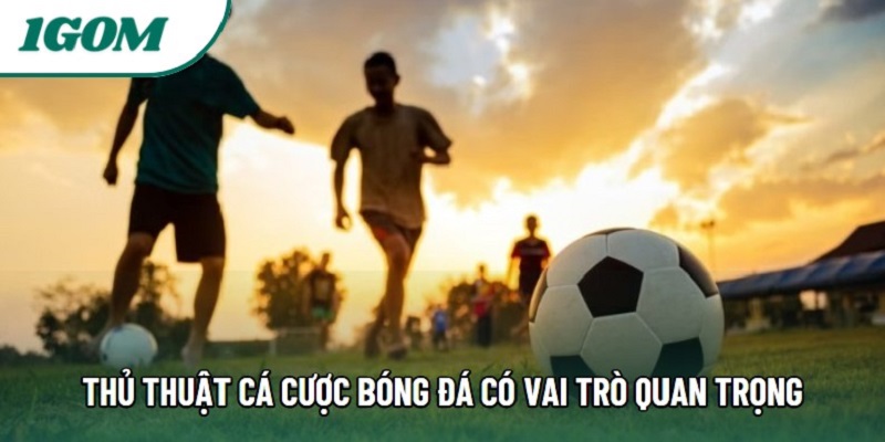 Thủ thuật cá cược bóng đá có vai trò quan trọng